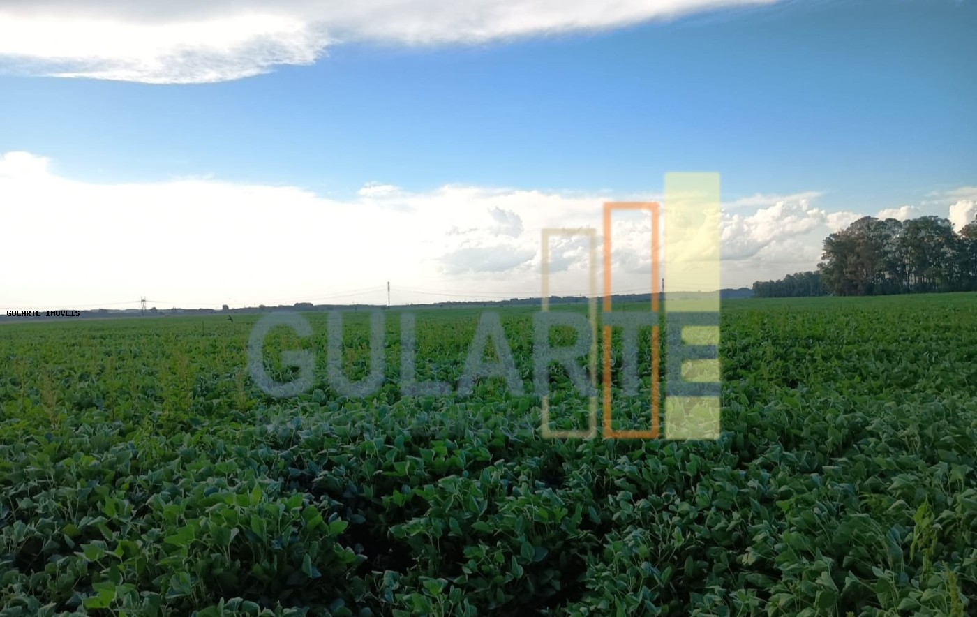 Fazenda, 30 hectares - Foto 6