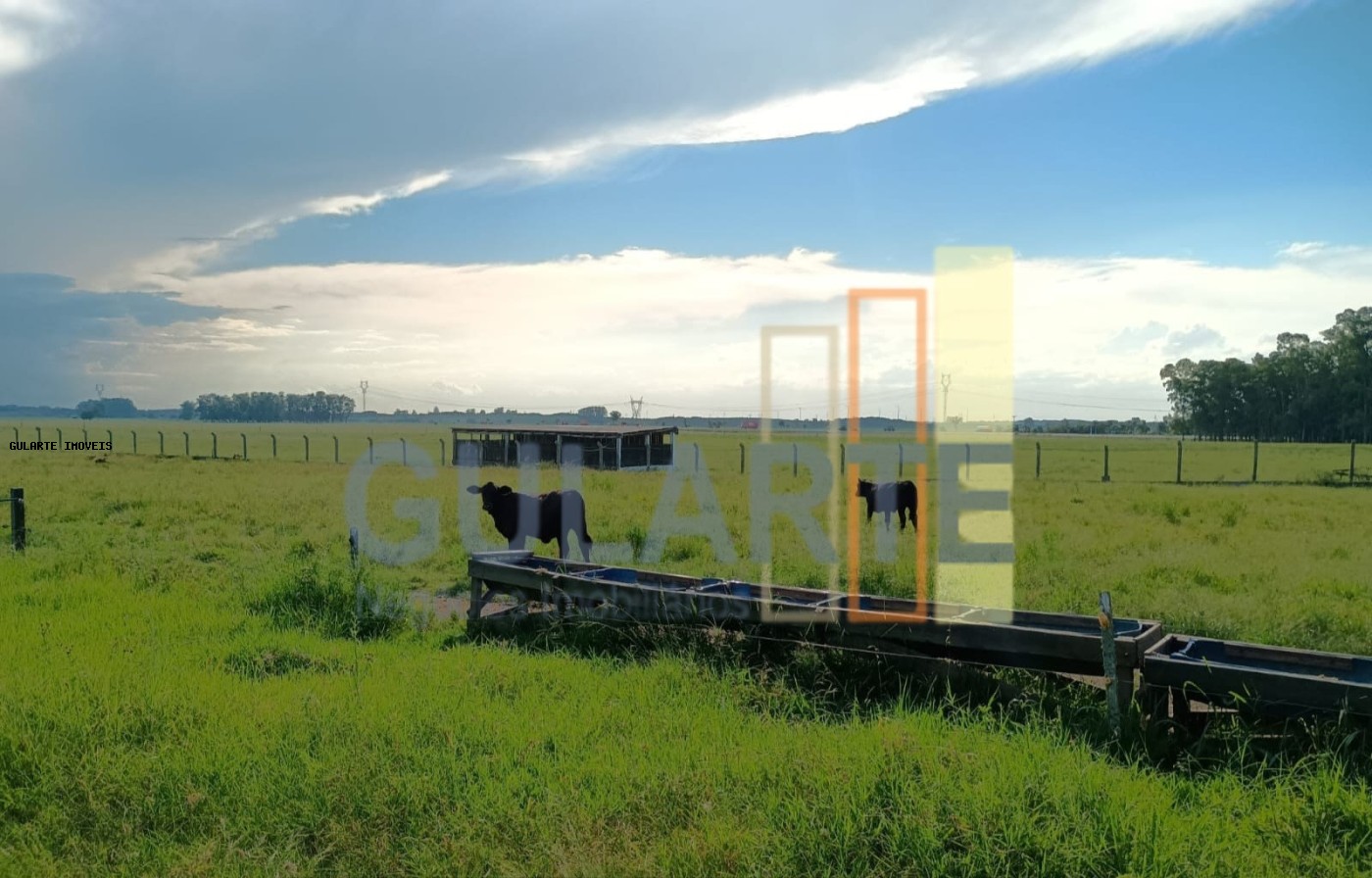 Fazenda, 30 hectares - Foto 2