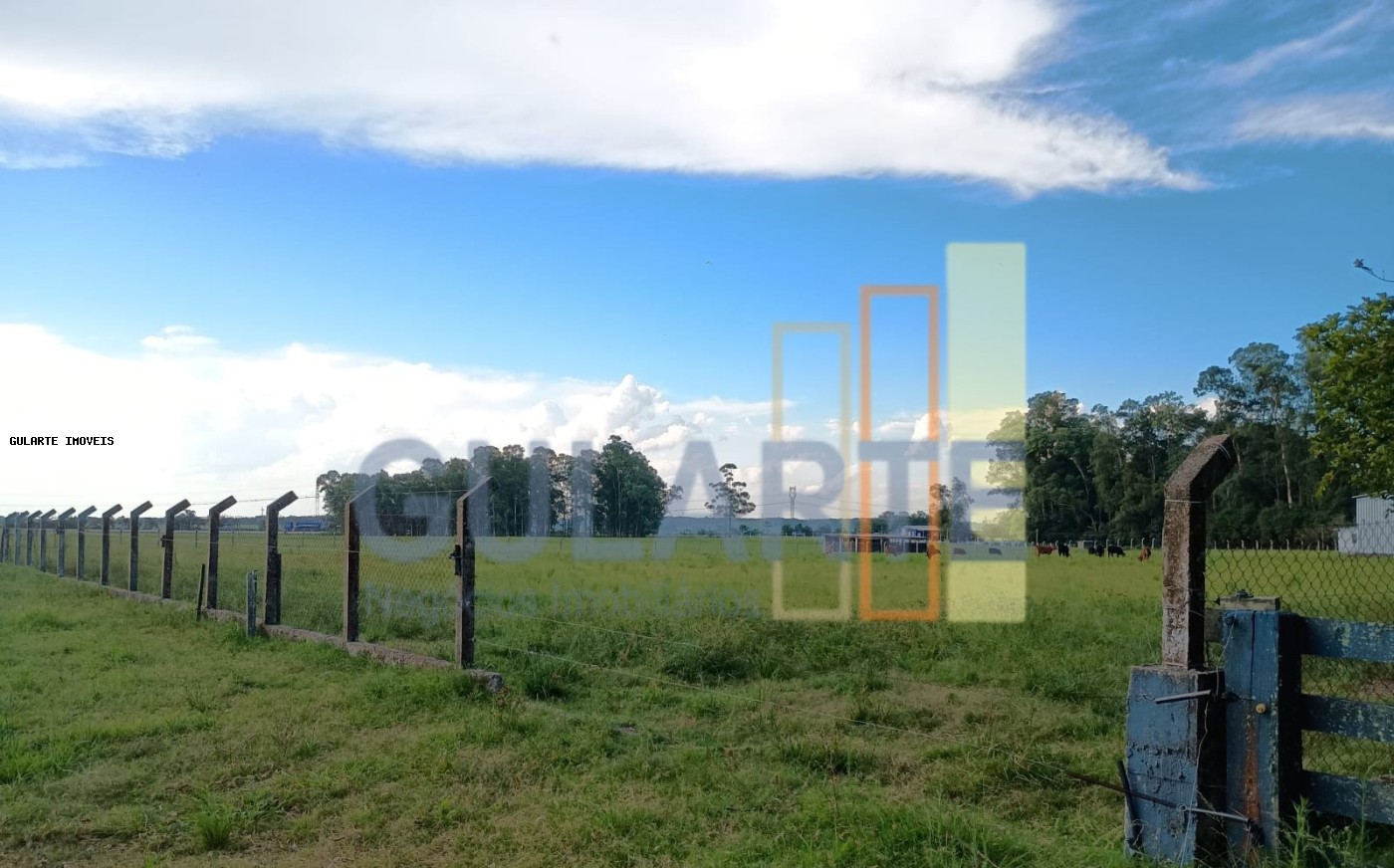 Fazenda, 30 hectares - Foto 11