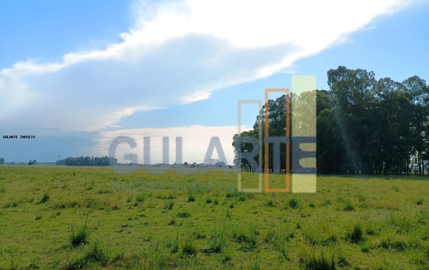 Fazenda, 30 hectares - Foto 3