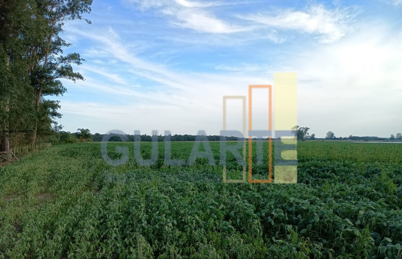 Fazenda, 30 hectares - Foto 14