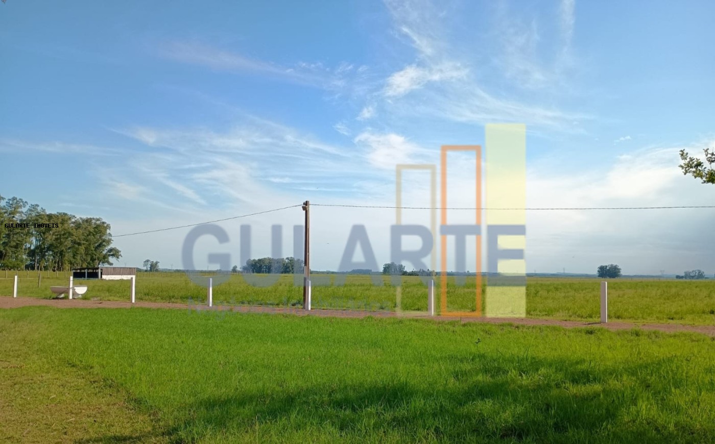 Fazenda, 30 hectares - Foto 8