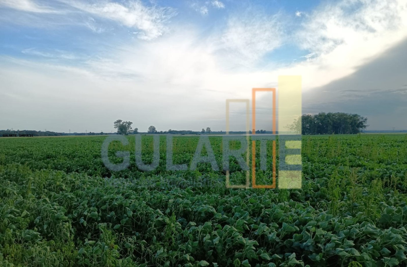 Fazenda, 30 hectares - Foto 15