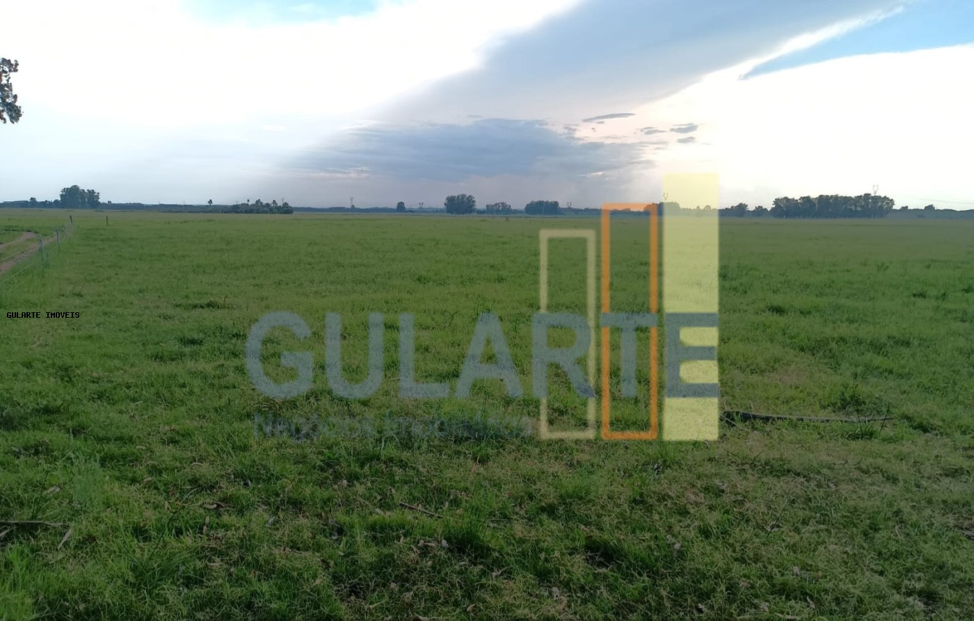 Fazenda, 30 hectares - Foto 7