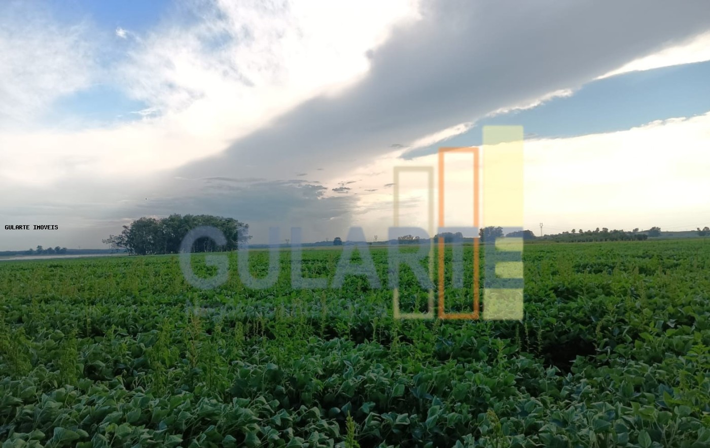 Fazenda, 30 hectares - Foto 16