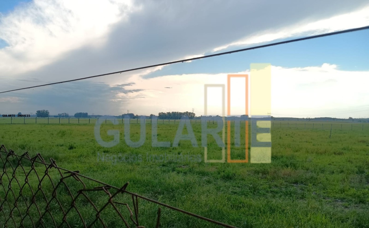 Fazenda, 30 hectares - Foto 17