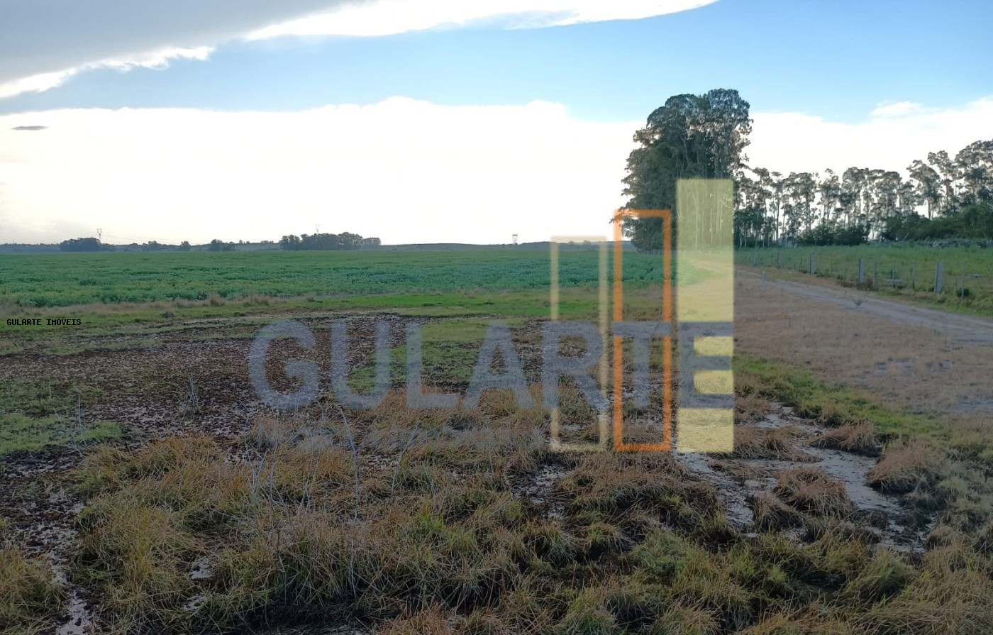 Fazenda, 30 hectares - Foto 18