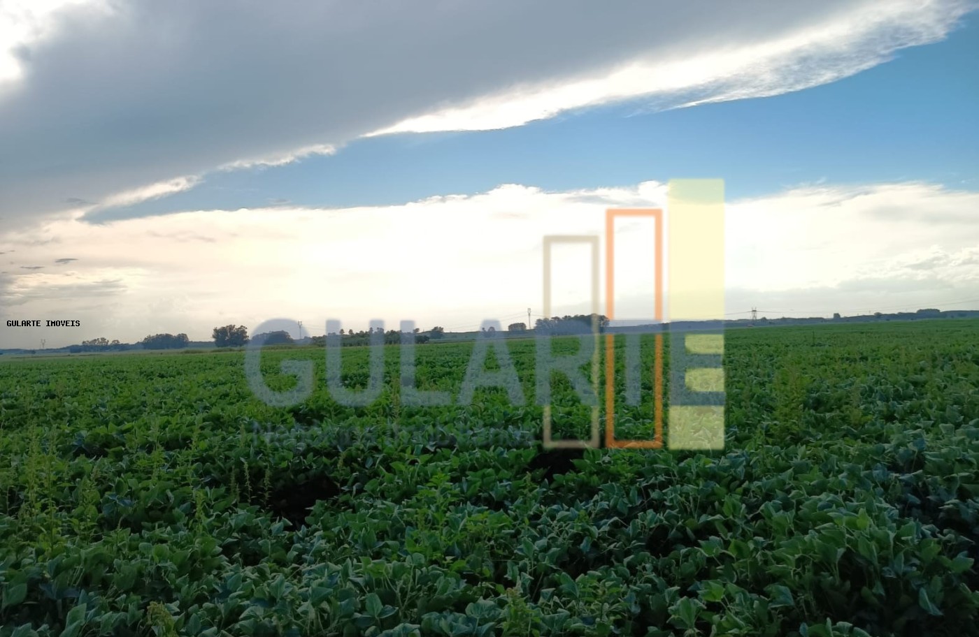 Fazenda, 30 hectares - Foto 20