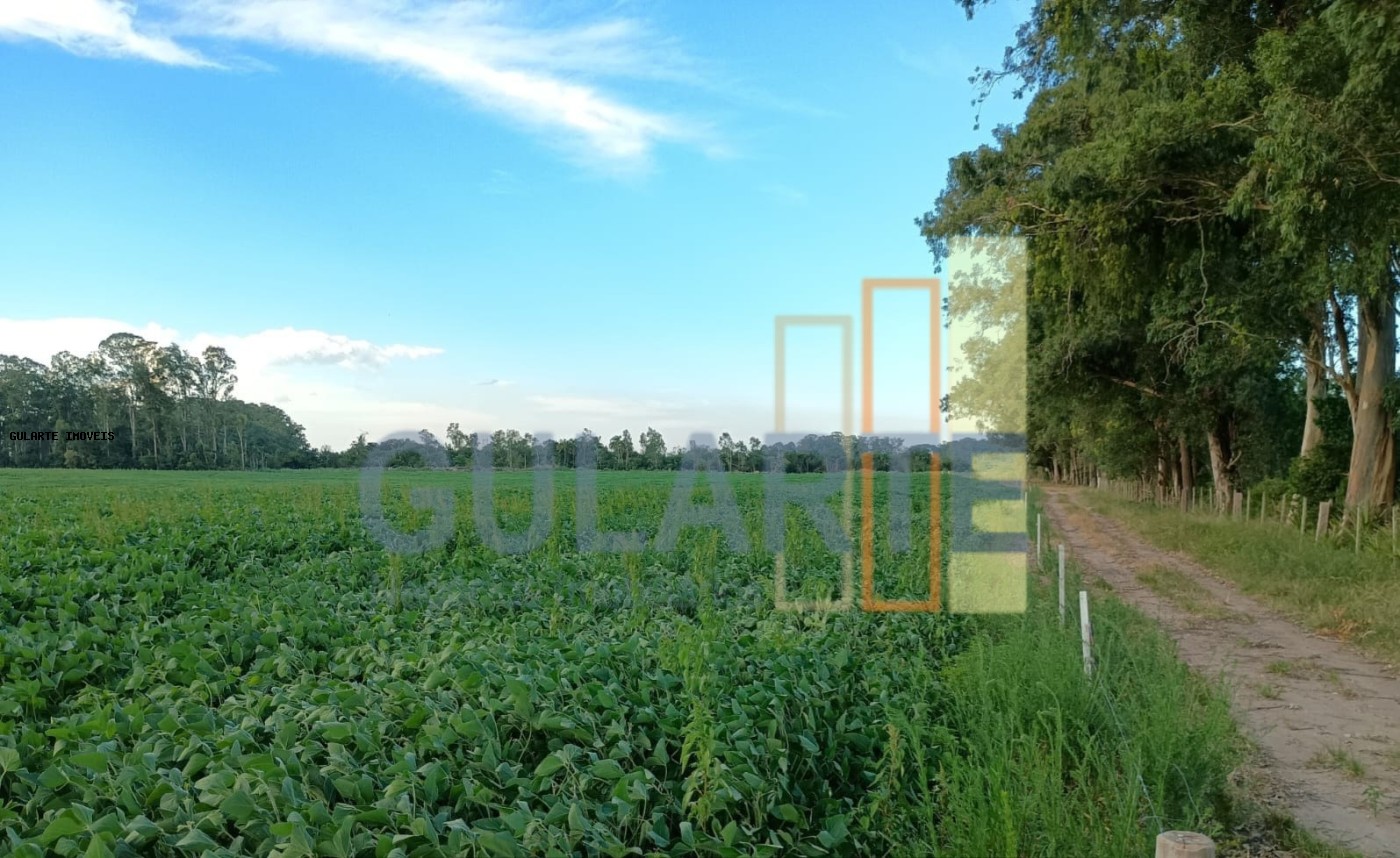 Fazenda, 30 hectares - Foto 19