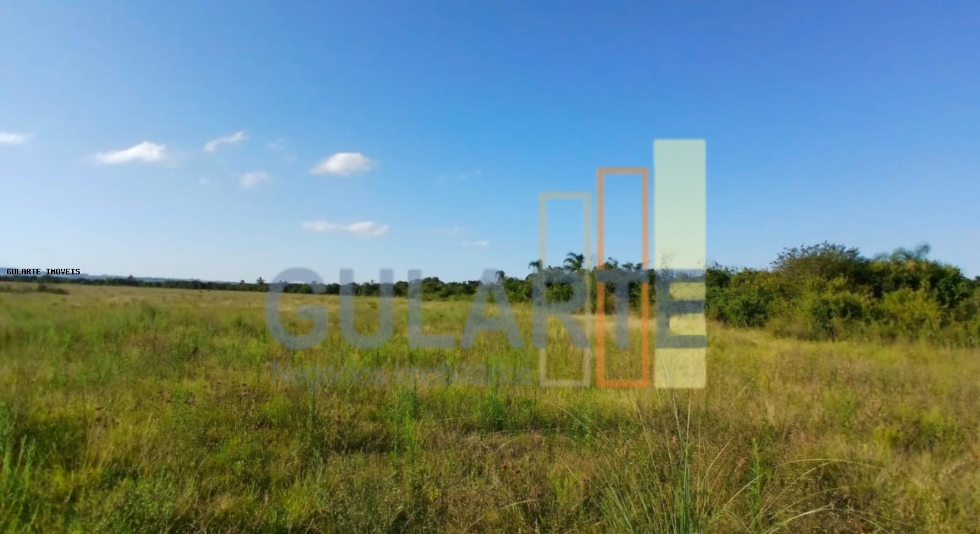 Fazenda, 243 hectares - Foto 2