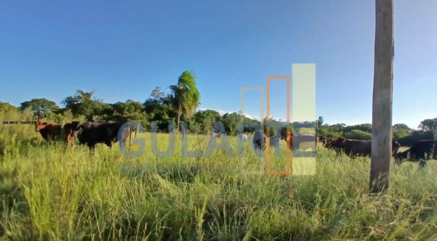 Fazenda, 243 hectares - Foto 1