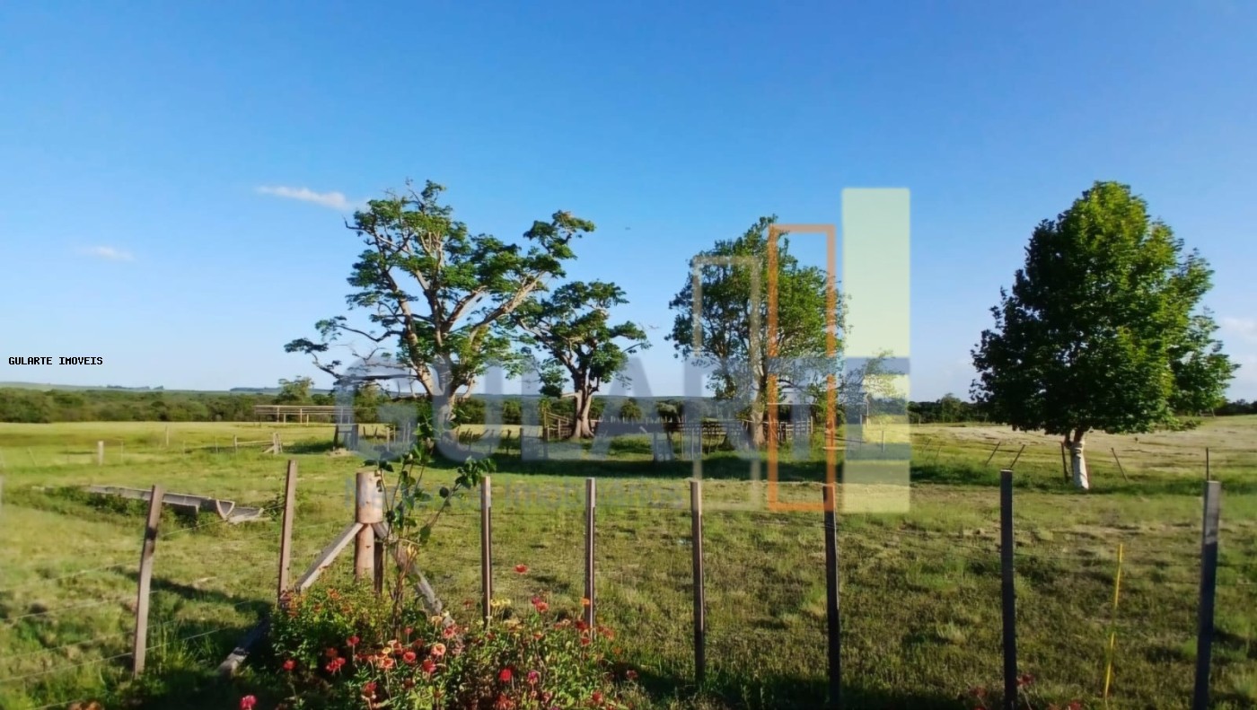 Fazenda, 243 hectares - Foto 7