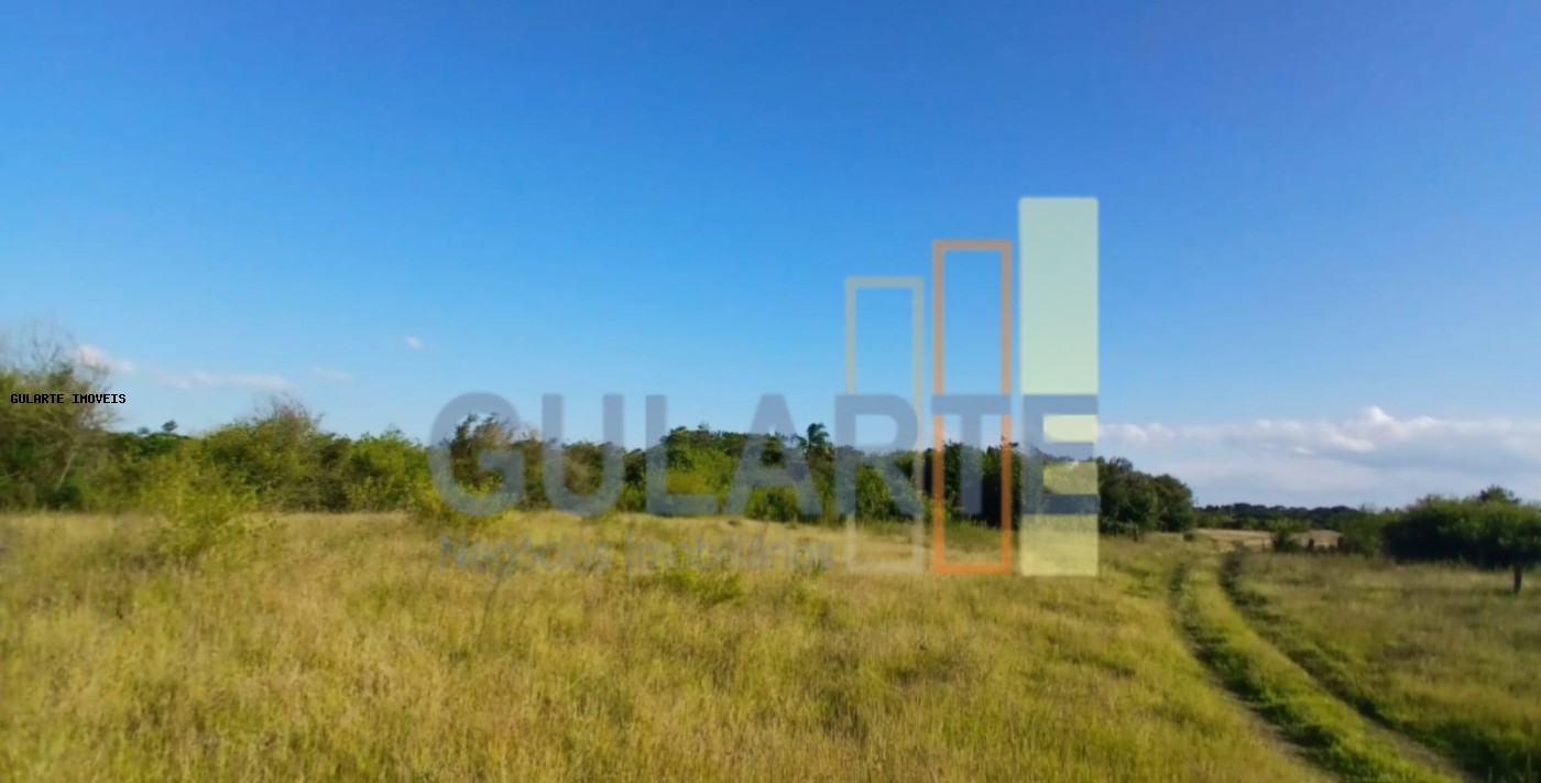 Fazenda, 243 hectares - Foto 6