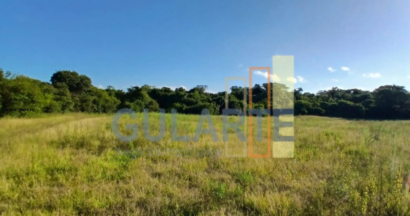 Fazenda, 243 hectares - Foto 4