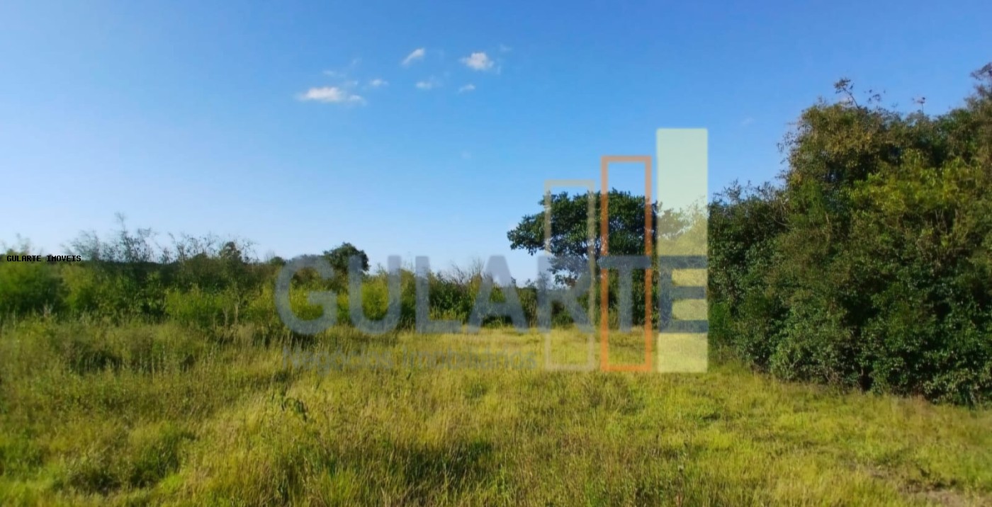 Fazenda, 243 hectares - Foto 9