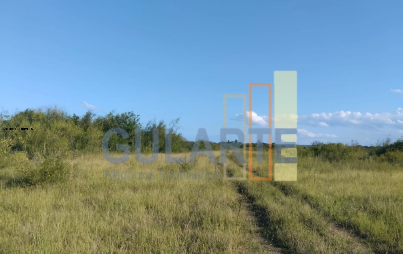 Fazenda, 243 hectares - Foto 10