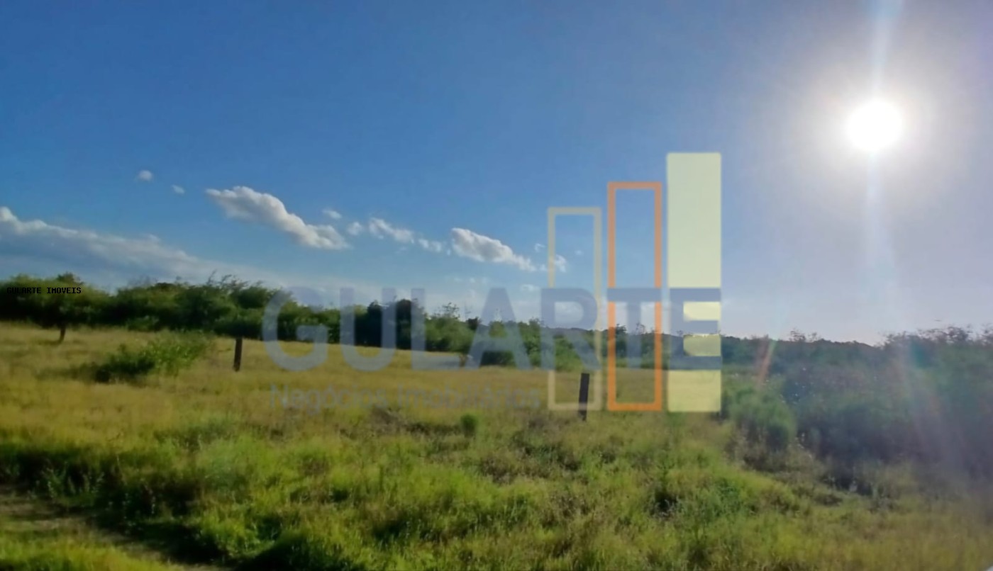 Fazenda, 243 hectares - Foto 8