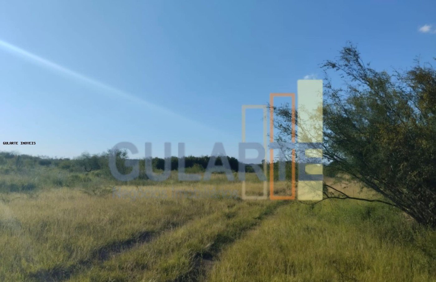 Fazenda, 243 hectares - Foto 11