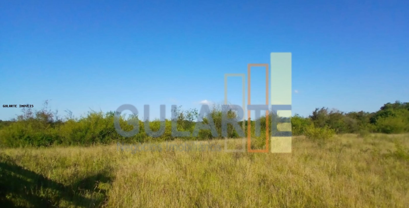 Fazenda, 243 hectares - Foto 12