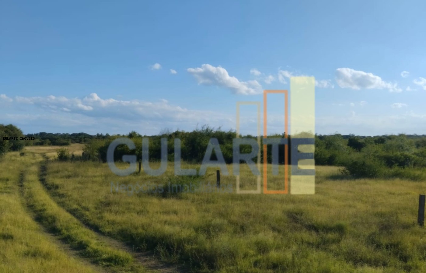 Fazenda, 243 hectares - Foto 15