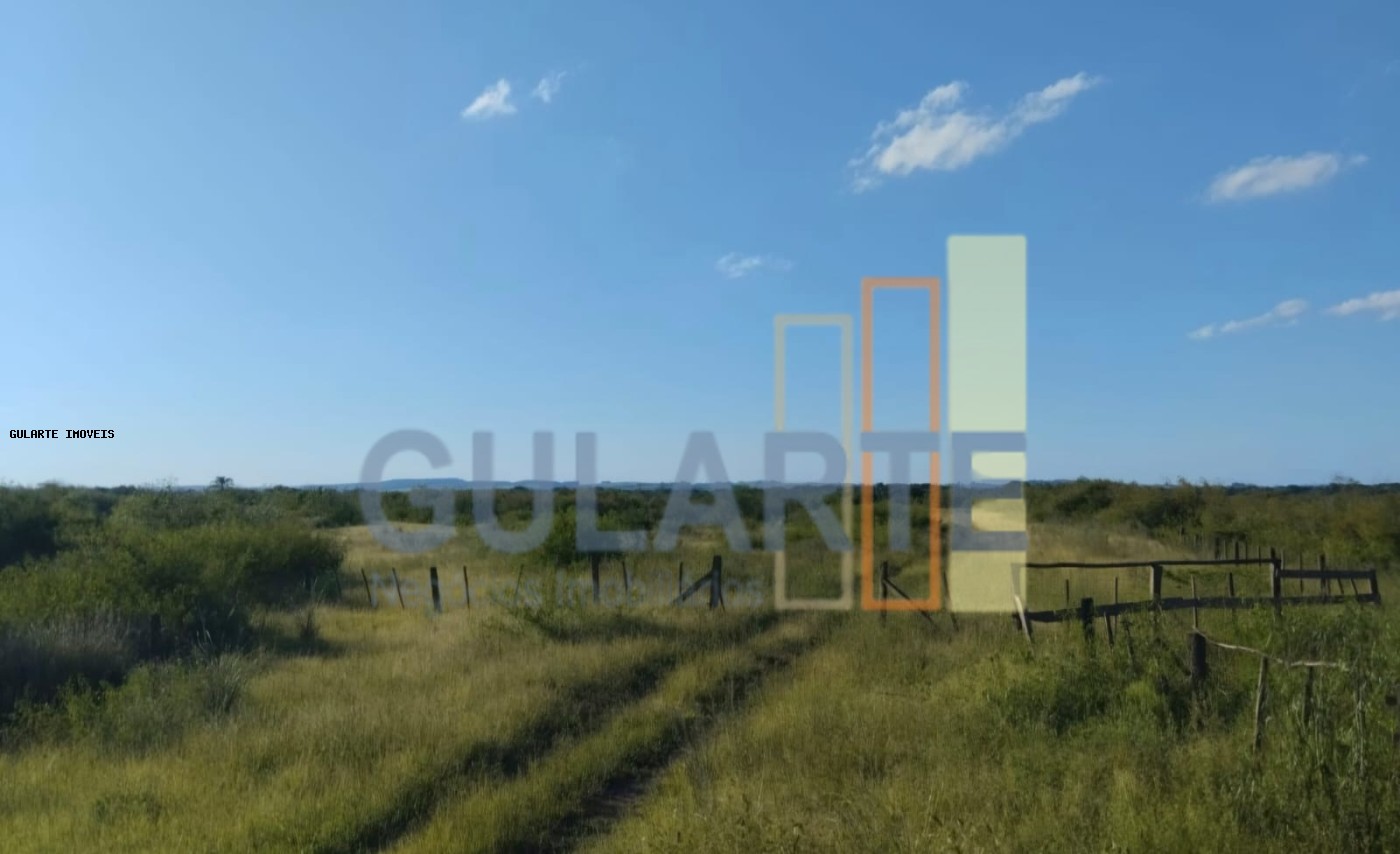 Fazenda, 243 hectares - Foto 20