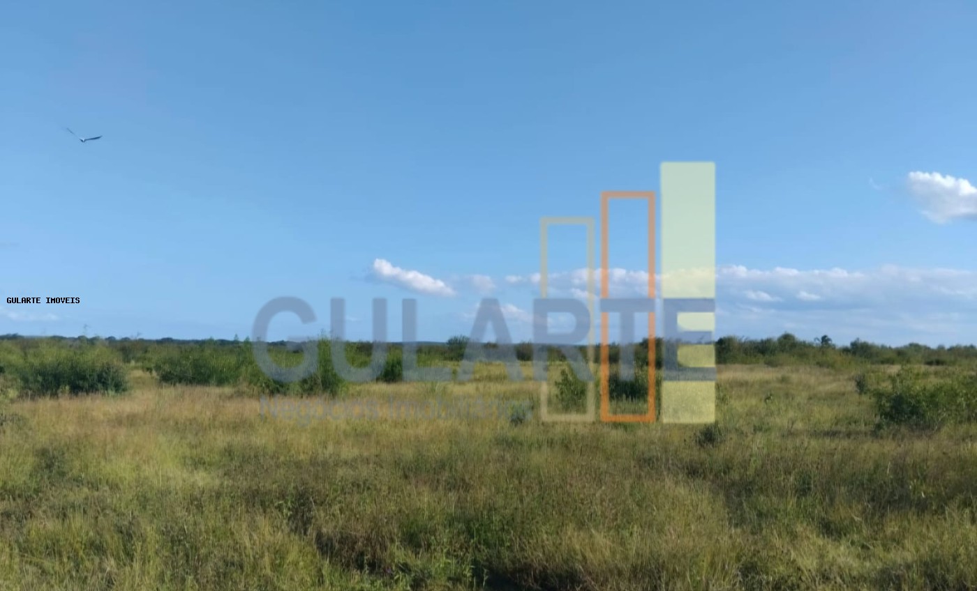 Fazenda, 243 hectares - Foto 17