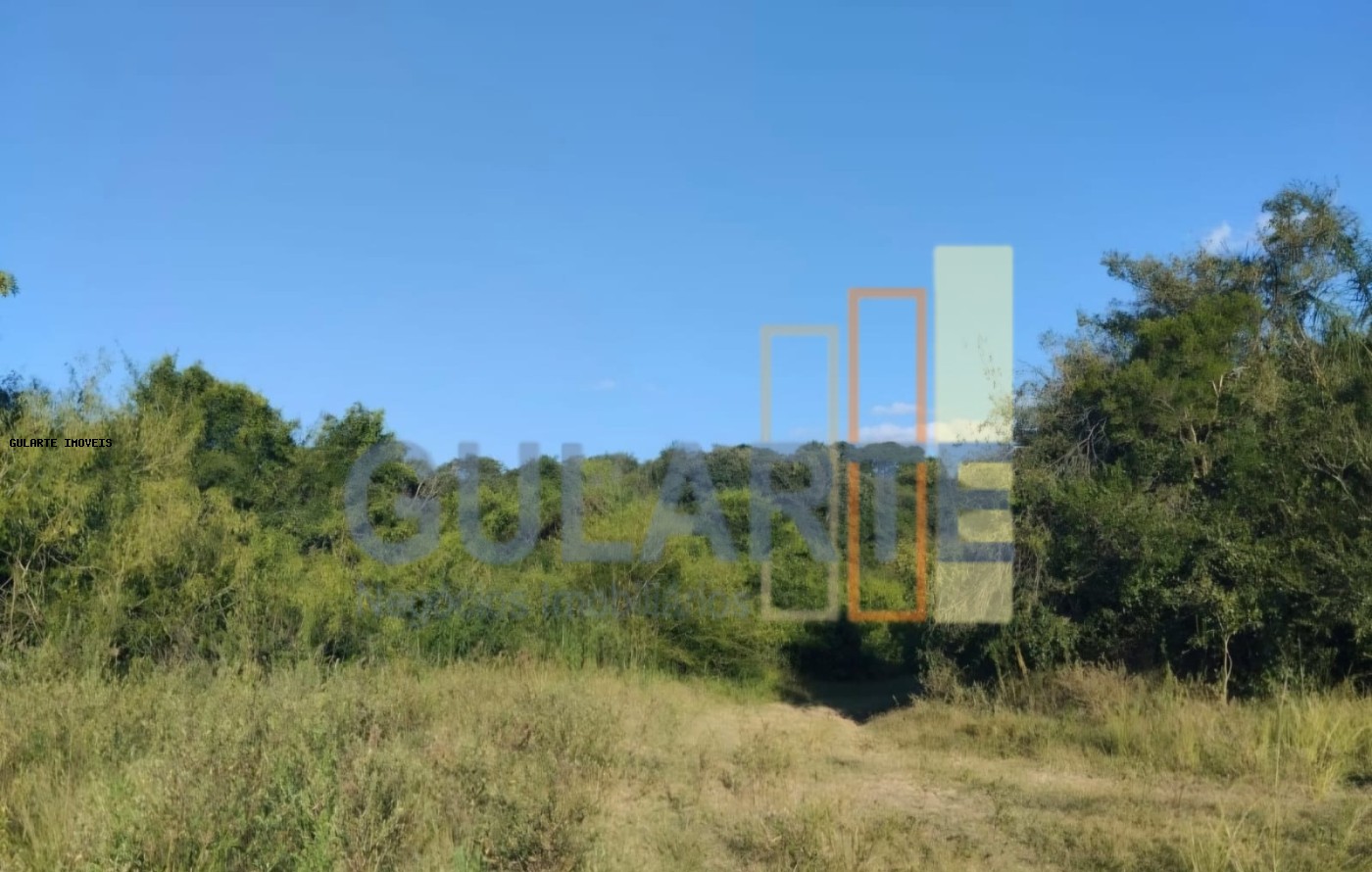 Fazenda, 243 hectares - Foto 18