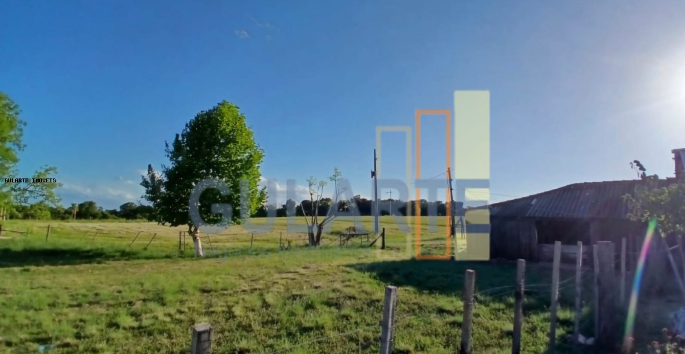 Fazenda, 243 hectares - Foto 21