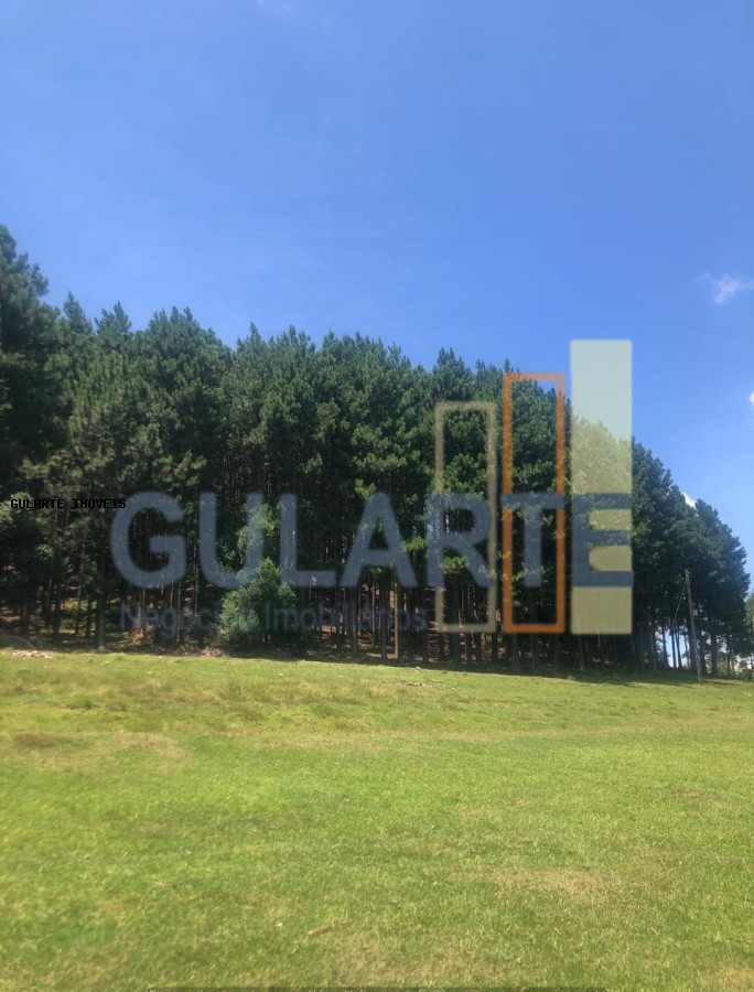 Fazenda, 715 hectares - Foto 1