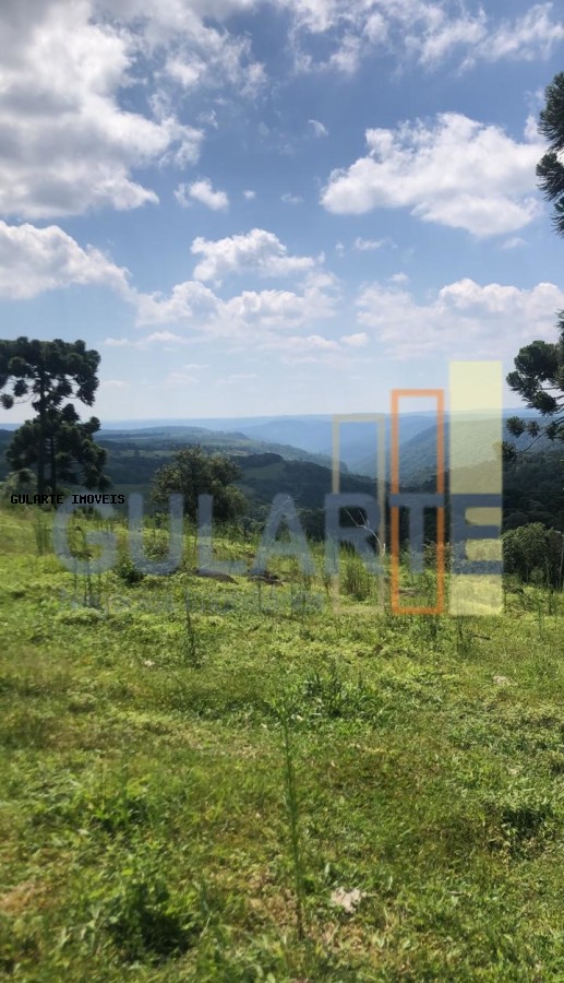 Fazenda, 715 hectares - Foto 3