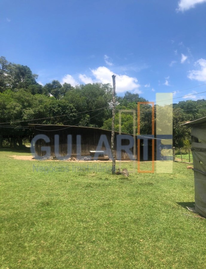 Fazenda, 715 hectares - Foto 6