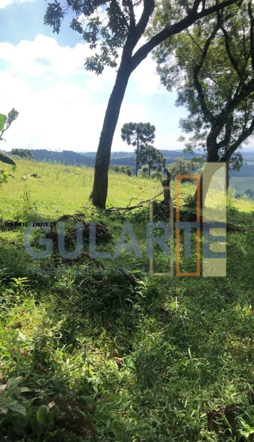 Fazenda, 715 hectares - Foto 4