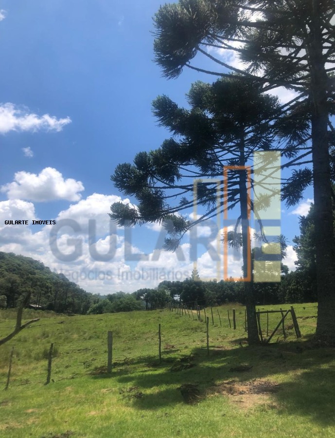 Fazenda, 715 hectares - Foto 7