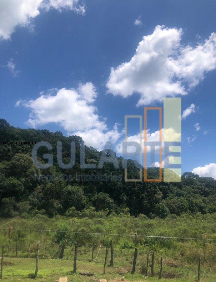 Fazenda, 715 hectares - Foto 8