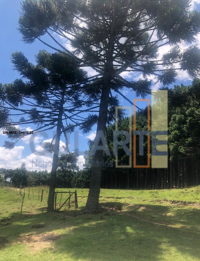 Fazenda, 715 hectares - Foto 12