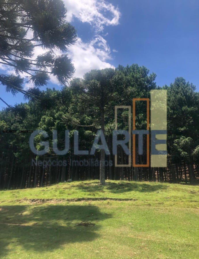 Fazenda, 715 hectares - Foto 11