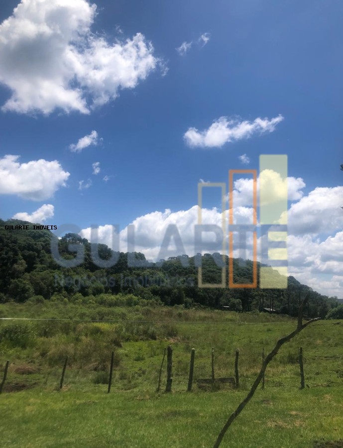 Fazenda, 715 hectares - Foto 10