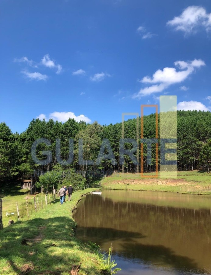 Fazenda, 715 hectares - Foto 14