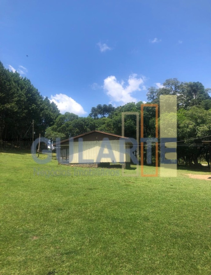 Fazenda, 715 hectares - Foto 16