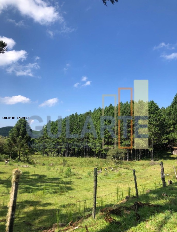 Fazenda, 715 hectares - Foto 13