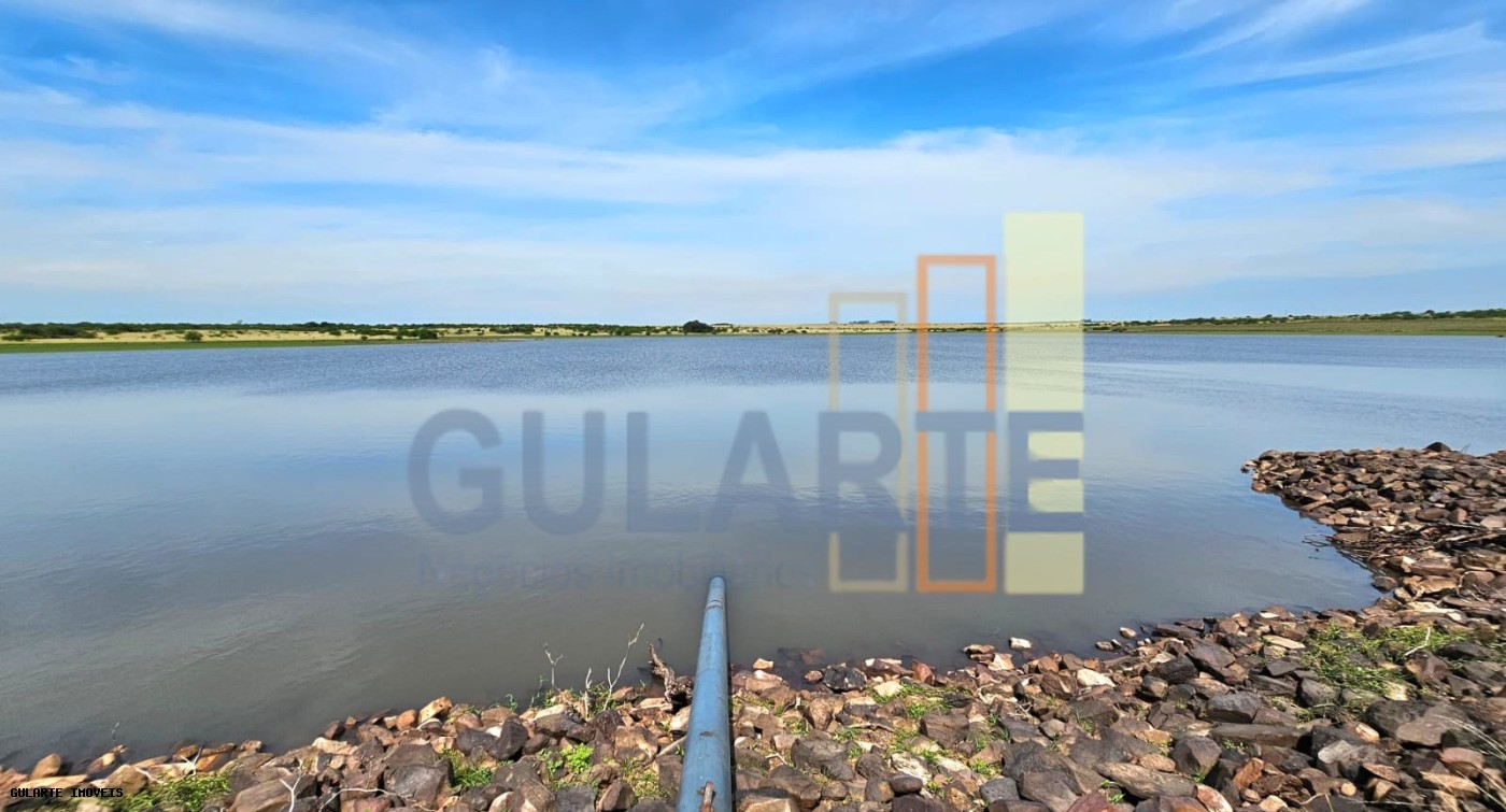 Fazenda, 460 hectares - Foto 3