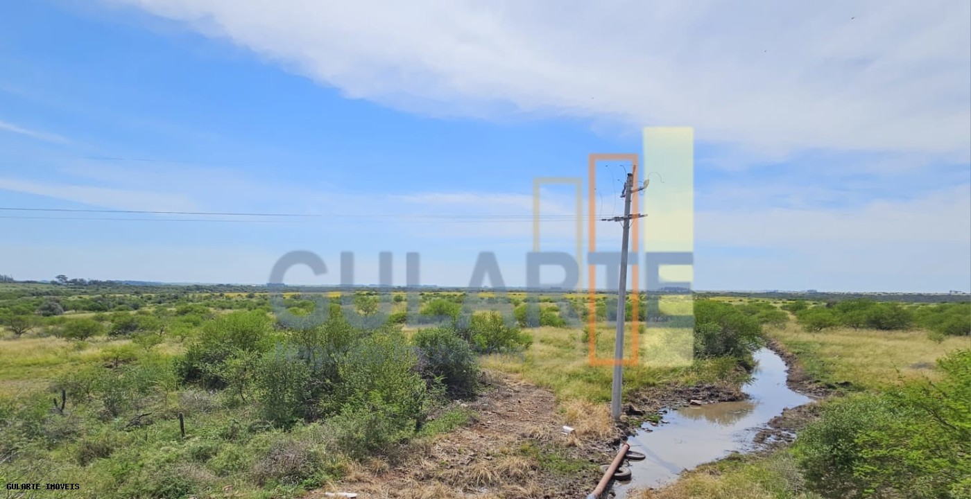 Fazenda, 460 hectares - Foto 2