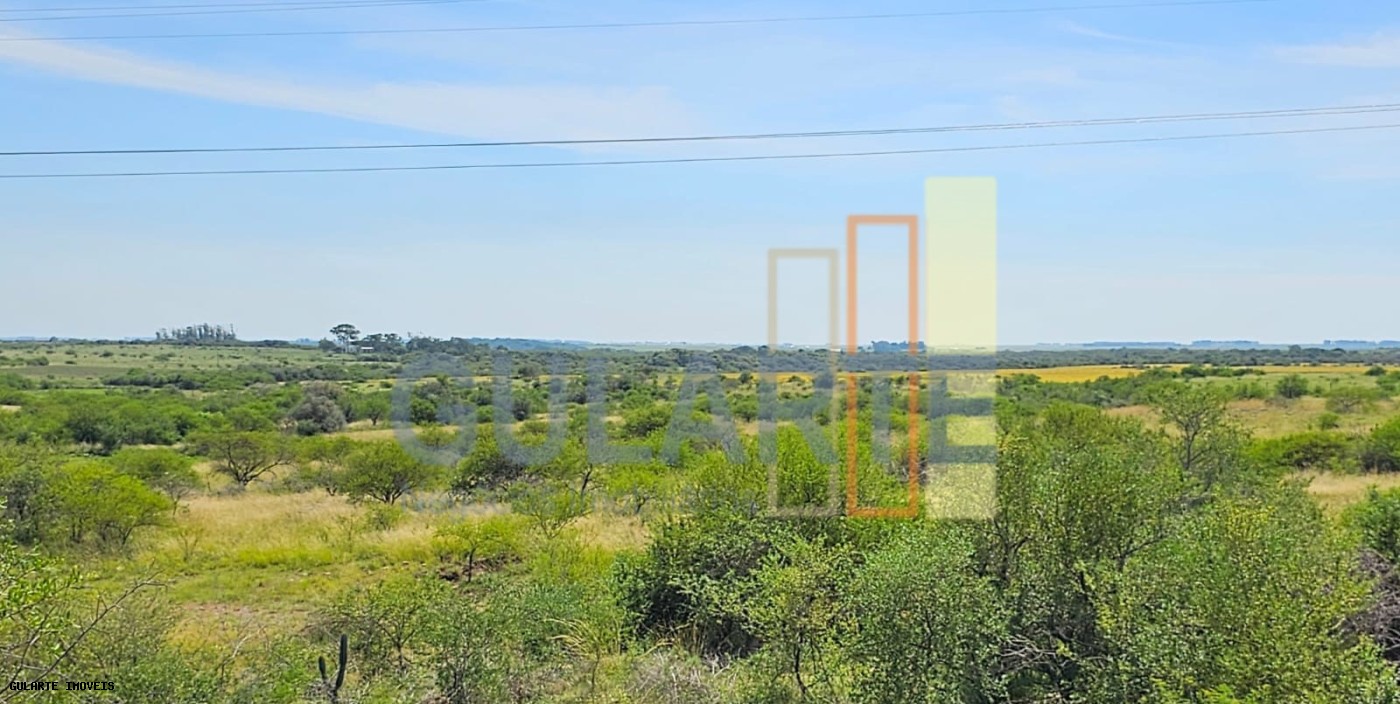 Fazenda, 460 hectares - Foto 4