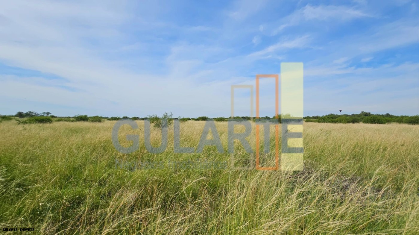 Fazenda, 460 hectares - Foto 5