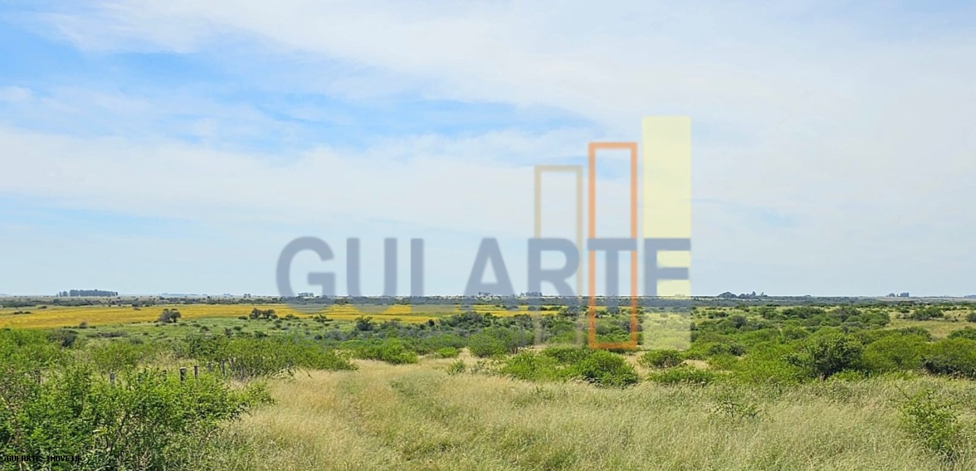 Fazenda, 460 hectares - Foto 6