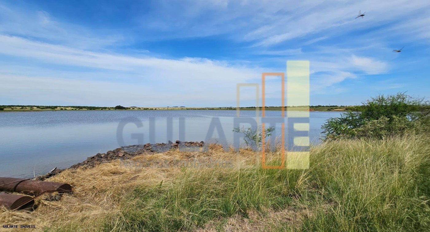 Fazenda, 460 hectares - Foto 1