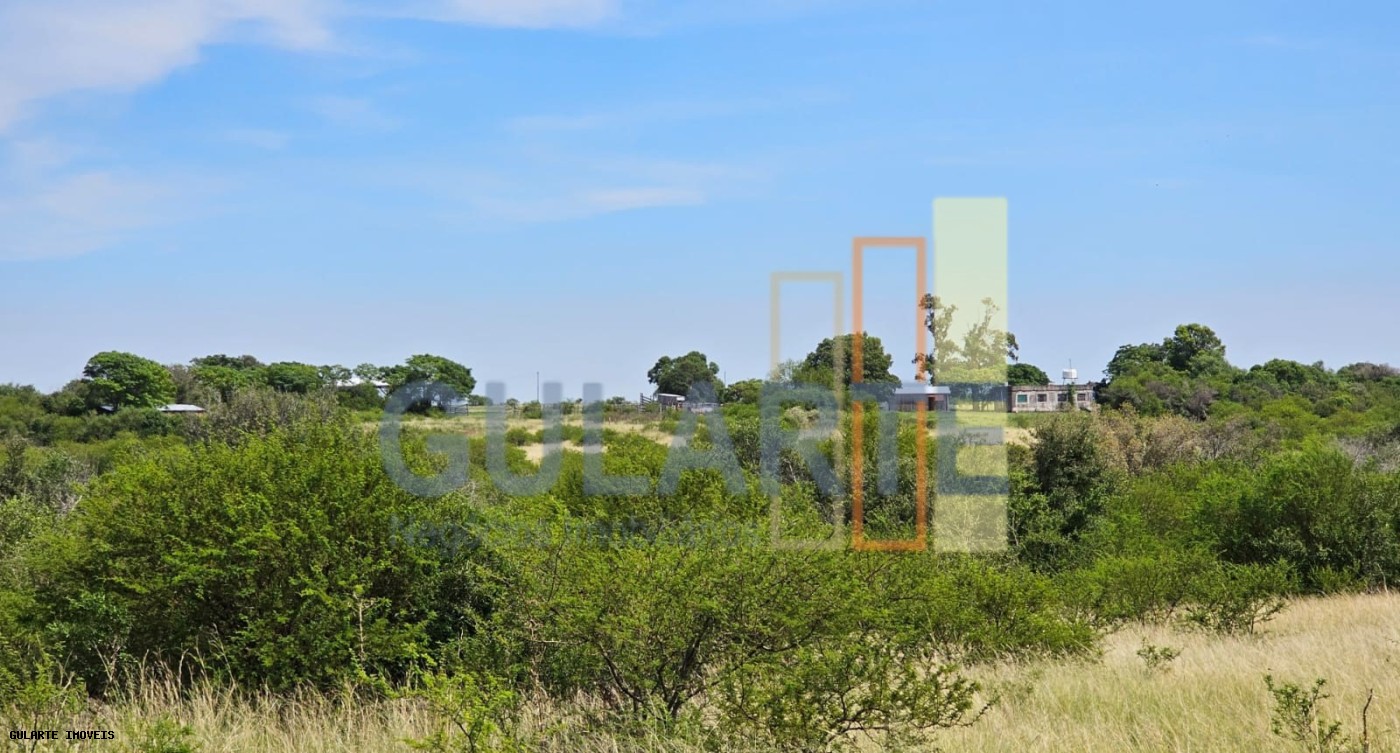 Fazenda, 460 hectares - Foto 7