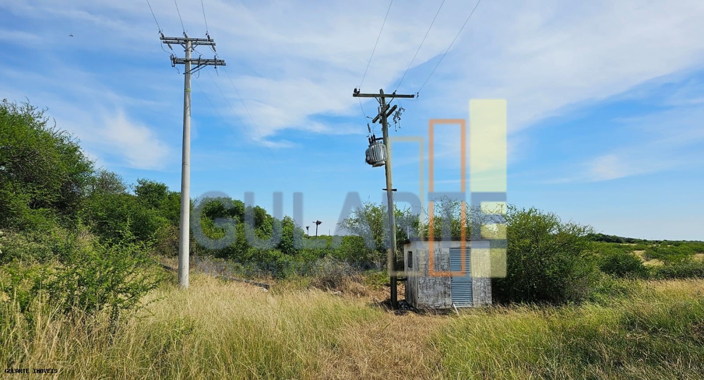 Fazenda, 460 hectares - Foto 8