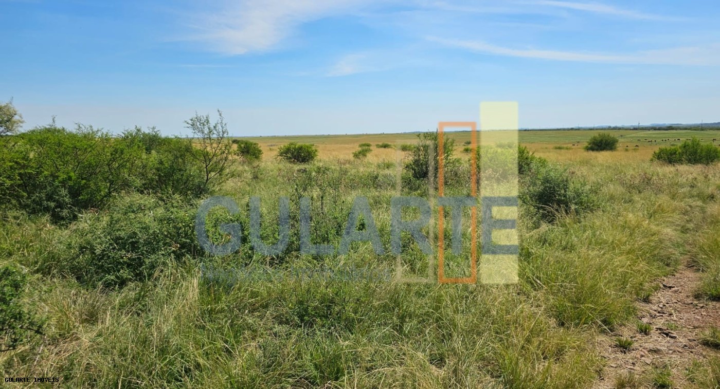 Fazenda, 460 hectares - Foto 11