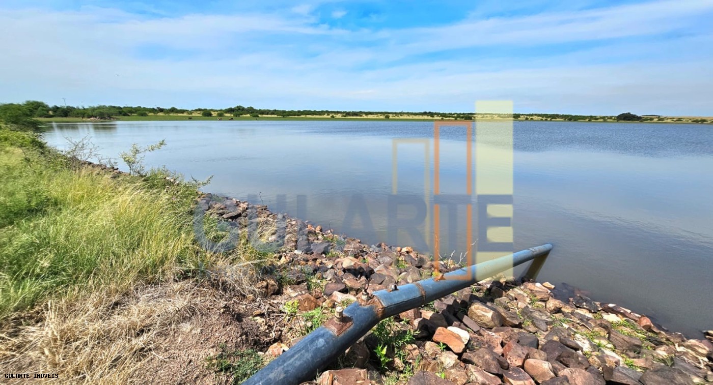 Fazenda, 460 hectares - Foto 9